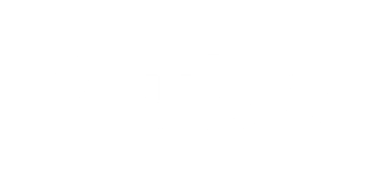 2Tube Logo